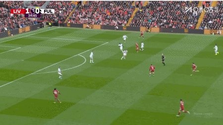 L2.gif